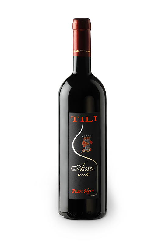 Tili-Vini_Assisi-Pinot-nero